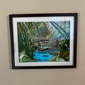8” x 10” Juniper Springs Print
